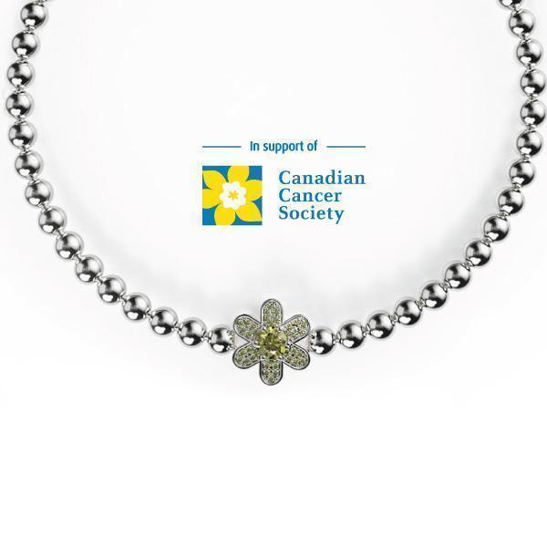 NOGU X CANCER.CA - NOGU.studio