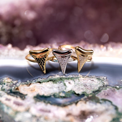 SHARK TOOTH BY NOGU X LAUREN HOWE - NOGU.studio
