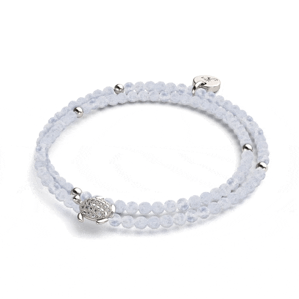 NOGU X SEA TURTLE CONSERVANCY