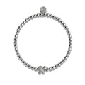 Silver Plated Stainless Steel
