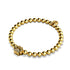 Paw | 18k Gold | Crystal Pup Print