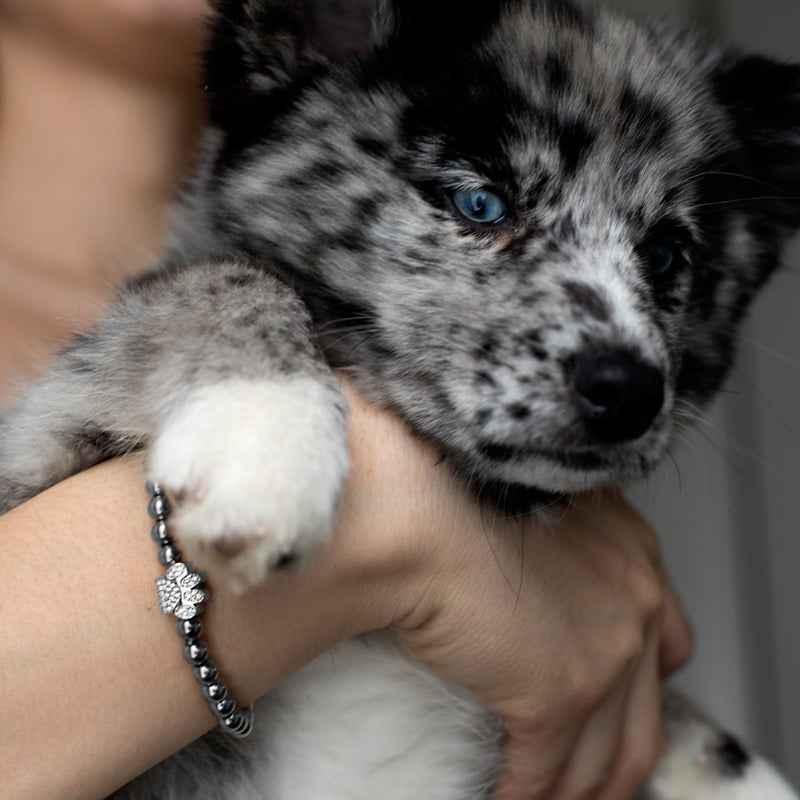 Paw | Silver | Crystal Pup Print