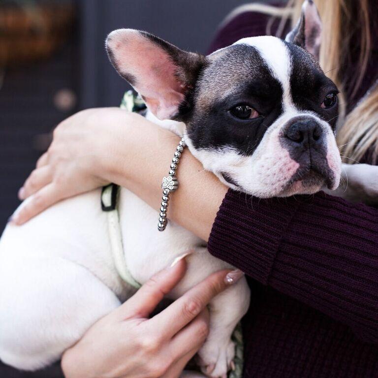 Paw | Silver | Crystal Pup Print