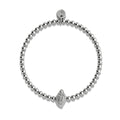 Silver Plated Stainless Steel
