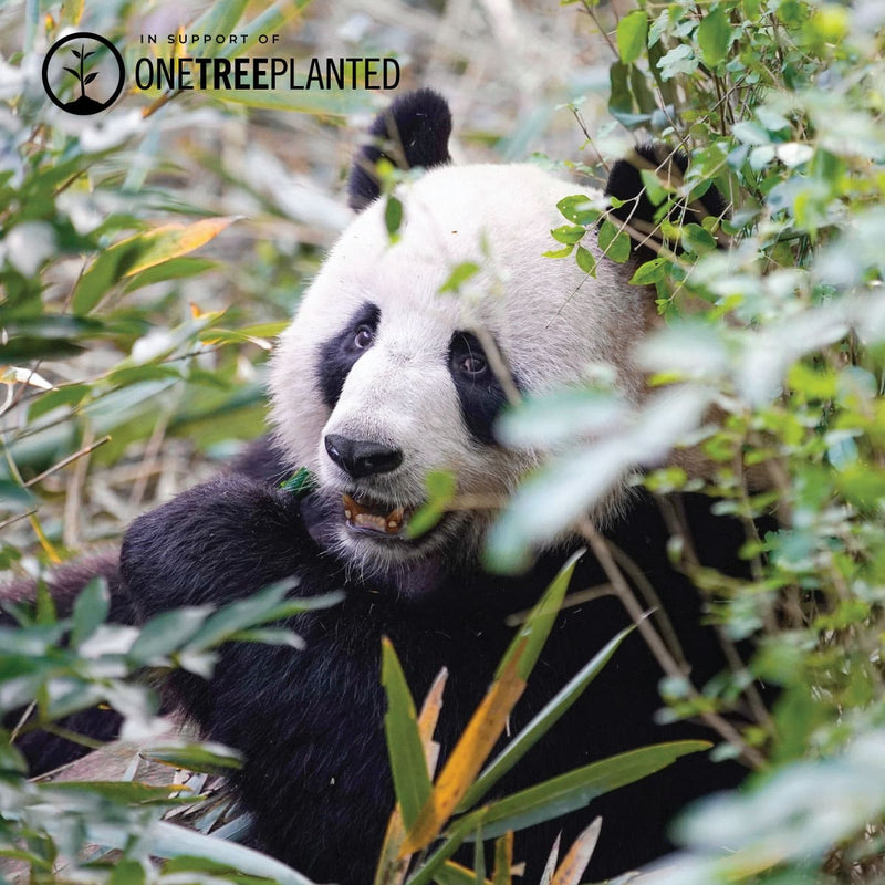 Panda Links | Mini Kismet Bracelet | Black x Silver