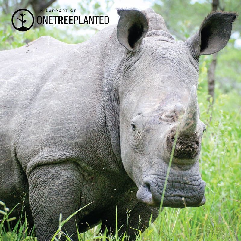 White Rhino Links | Mini Kismet Bracelet | White x Silver