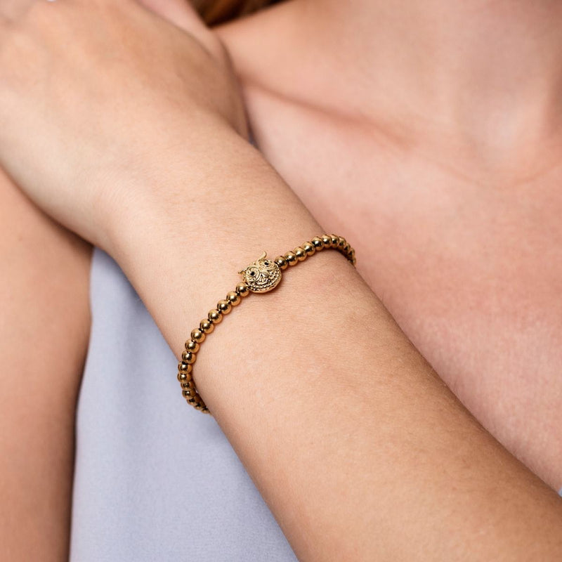 Wisdom | 18k Gold | Crystal Night Owl