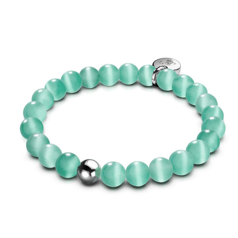 Land and Sea | 4 Piece Gift Set